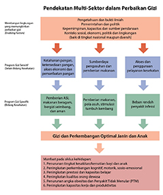 Sumber: The Lancet, 2013: Executive Summary of The Lancet Maternal and Child Nutrition Series