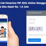 Penerima PIP 2024 akan mendapat bantuan uang tunai, perluasan akses dan kesempatan belajar dari pemerintah. Simak cara cek PIP Online menggunakan HP di artikel berikut ini.