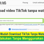 Cara Mudah Download TikTok Tanpa Watermark, Bisa Dilakukan Tanpa Menggunakan Aplikasi