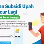 Cek Bantuan Subsidi Upah Dan Persyaratan Mendapatkannya