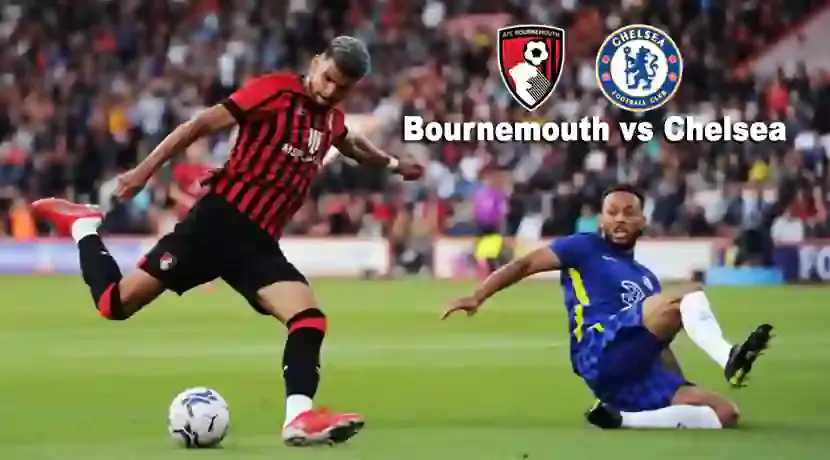 Prediksi Bournemouth vs Chelsea di Pekan ke-4 Premier League 2024/2025