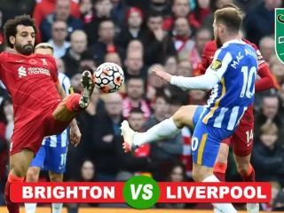 Brighton vs Liverpool di Babak 16 besar Carabao Cup 2024/2025