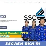 Cara Mengatasi Masalah PPPK di SSCASN.GO.ID