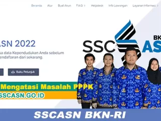 Cara Mengatasi Masalah PPPK di SSCASN.GO.ID