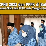 Jadwal CPNS 2023 dan PPPK di Buka! Cara Cek Formasi CPNS dan PPPK serta Tanggal Penerimaannya