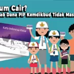 PIP Belum Cair? Ini Penyebab Dana PIP Kemdikbud Tidak Masuk Rekening