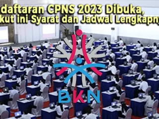 Pendaftaran CPNS 2023 Dibuka, Berikut ini Syarat dan Jadwal Lengkapnya