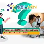 Permasalahan SSCASN yang Sering di Hadapi Ketika Mendaftar Seleksi PPPK