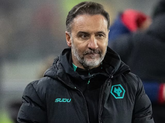 Pelatih kepala Wolverhampton Wanderers Vitor Pereira pada bulan Desember 2024 (c) Imago