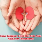 Kasus Gangguan Ginjal Akut Pada Anak, Gejala dan Penyebabnya