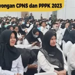 Pemerintah Buka 1 Juta Lowongan CPNS dan PPPK 2023