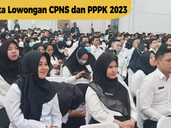 Pemerintah Buka 1 Juta Lowongan CPNS dan PPPK 2023, Berikut ini Bocoran Jadwalnya