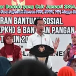 Daftar Bansos yang Cair Januari 2024, Begini Cara Dapatkan Bansos PKH, BPNT, PIP, hingga Beras
