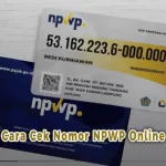 Cara Cek Nomor NPWP Online