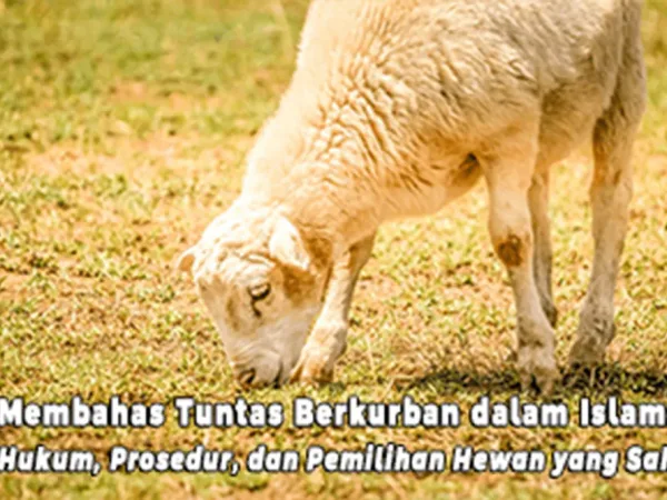 Membahas Tuntas Berkurban dalam Islam: Hukum, Prosedur, dan Pemilihan Hewan yang Sah