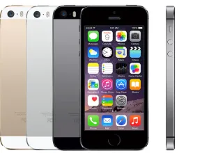iPhone 5s Colors (support.apple.com)