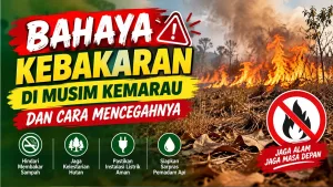 Bahaya Kebakaran di Musim Kemarau dan Cara Mencegahnya