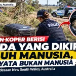 Temuan Koper Berisi Benda yang Dikira Tubuh Manusia, Ternyata Bukan Manusia