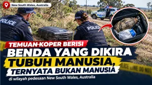 Temuan Koper Berisi Benda yang Dikira Tubuh Manusia, Ternyata Bukan Manusia